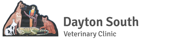 Dayton South Veterinary Clinic